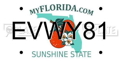 EVWY81 Florida License Plate