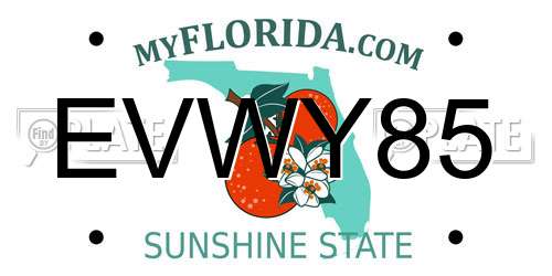 EVWY85 Florida License Plate
