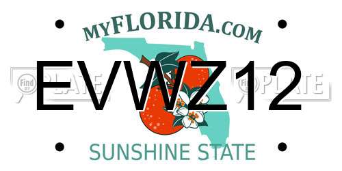 EVWZ12 Florida License Plate