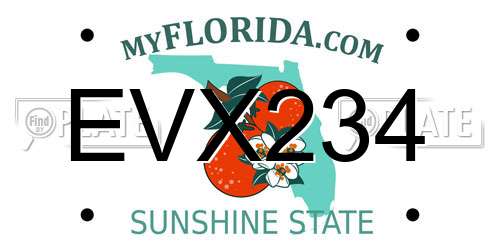 EVX234 Florida License Plate