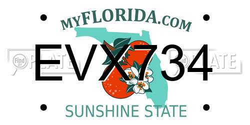 EVX734 Florida License Plate