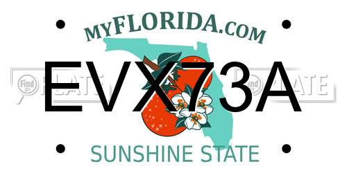 EVX73A Florida License Plate