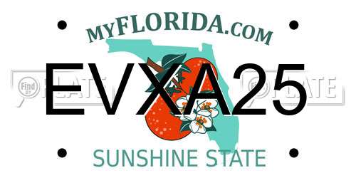 EVXA25 Florida License Plate
