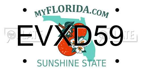EVXD59 Florida License Plate