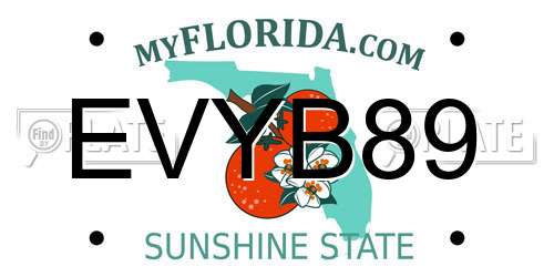 EVYB89 Florida License Plate