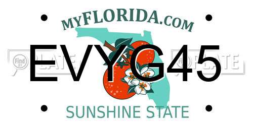 EVYG45 Florida License Plate