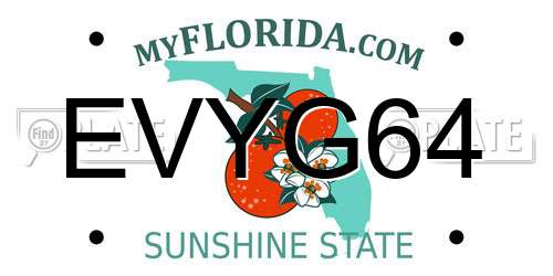 EVYG64 Florida License Plate