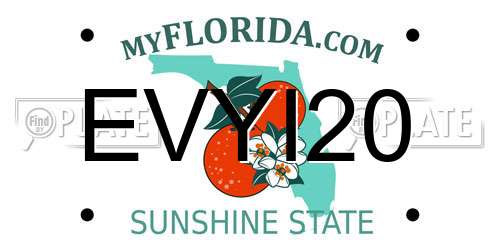 EVYI20 Florida License Plate
