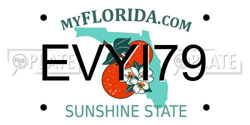 EVYI79 Florida License Plate