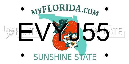 EVYJ55 Florida License Plate