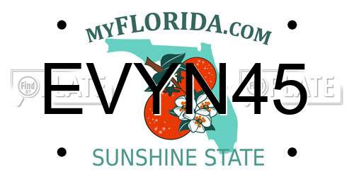 EVYN45 Florida License Plate