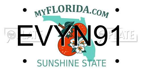 EVYN91 Florida License Plate