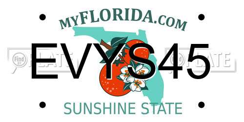 EVYS45 Florida License Plate