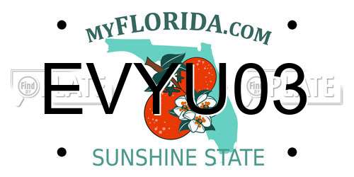 EVYU03 Florida License Plate