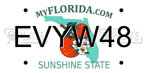 EVYW48 Florida License Plate