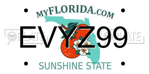 EVYZ99 Florida License Plate