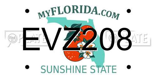 EVZ208 Florida License Plate