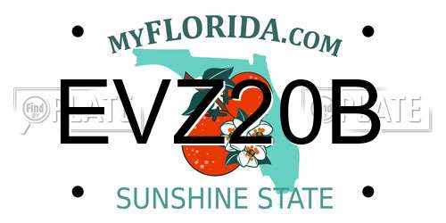 EVZ20B Florida License Plate