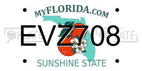 EVZ708 Florida License Plate