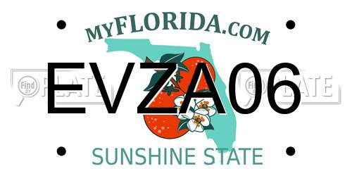 EVZA06 Florida License Plate