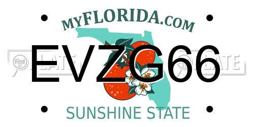 EVZG66 Florida License Plate