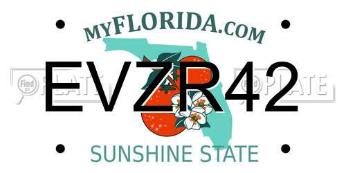EVZR42 Florida License Plate