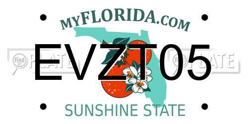 EVZT05 Florida License Plate