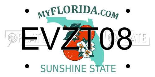 EVZT08 Florida License Plate