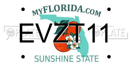 EVZT11 Florida License Plate