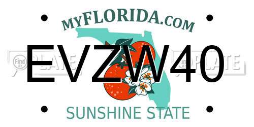 EVZW40 Florida License Plate