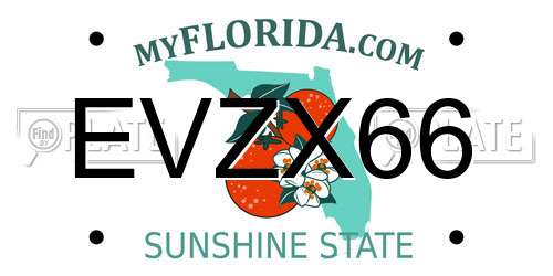 EVZX66 Florida License Plate