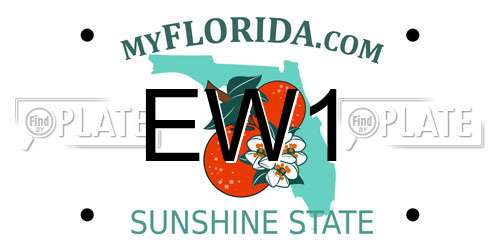 EW1 Florida License Plate
