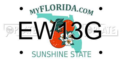 EW13G Florida License Plate