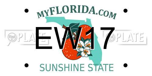 EW17 Florida License Plate