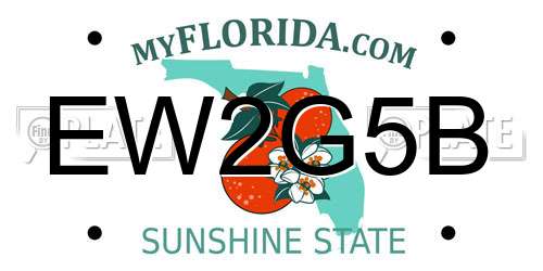 EW2G5B Florida License Plate