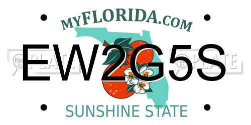 EW2G5S Florida License Plate