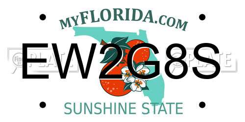EW2G8S Florida License Plate