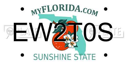 EW2T0S Florida License Plate