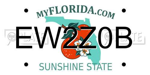 EW2Z0B Florida License Plate