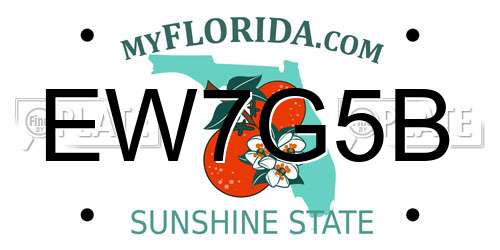 EW7G5B Florida License Plate