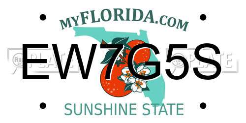 EW7G5S Florida License Plate