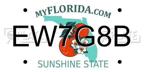 EW7G8B Florida License Plate