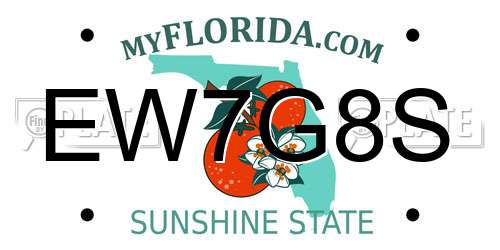 EW7G8S Florida License Plate