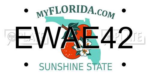 EWAE42 Florida License Plate