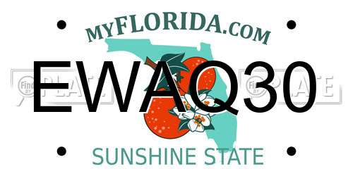 EWAQ30 Florida License Plate