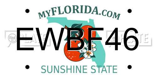 EWBF46 Florida License Plate
