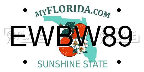 EWBW89 Florida License Plate
