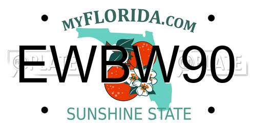 EWBW90 Florida License Plate