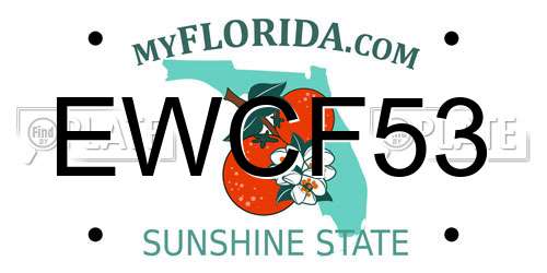 EWCF53 Florida License Plate