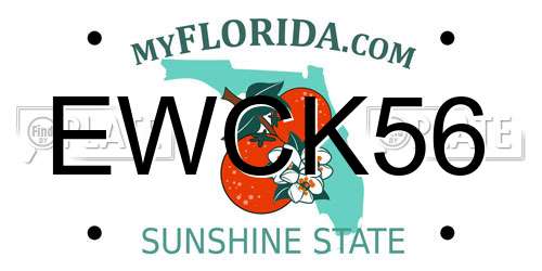 EWCK56 Florida License Plate
